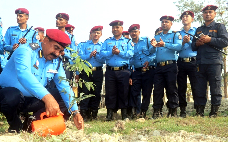 गणमा चार सय विरुवा रोपिए