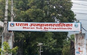धरानसहित १३ स्थानीय तहले अझै ल्याएनन् बजेट
