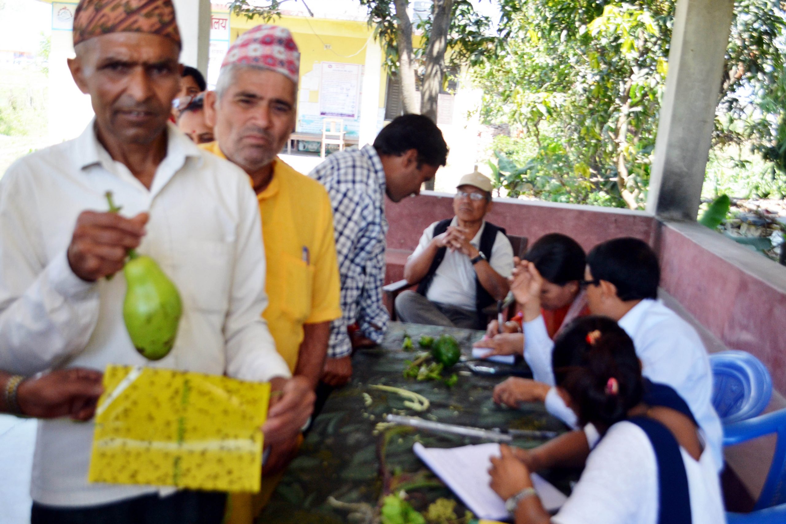 बाली शिविर सञ्चालन