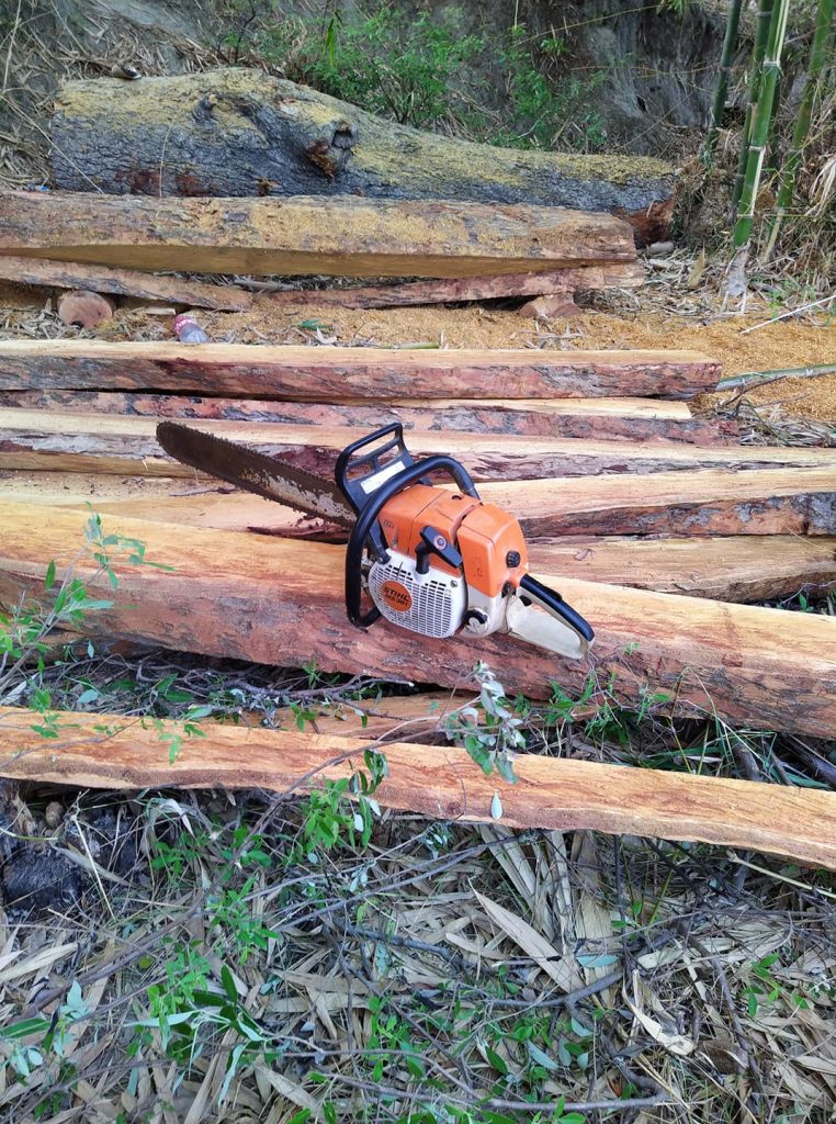 खेर जाँदै करोडौंको वनपैदावार