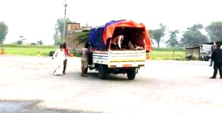 तरकारी भ्यानमा लुकेर आएका १४ भारतीय फिर्ता