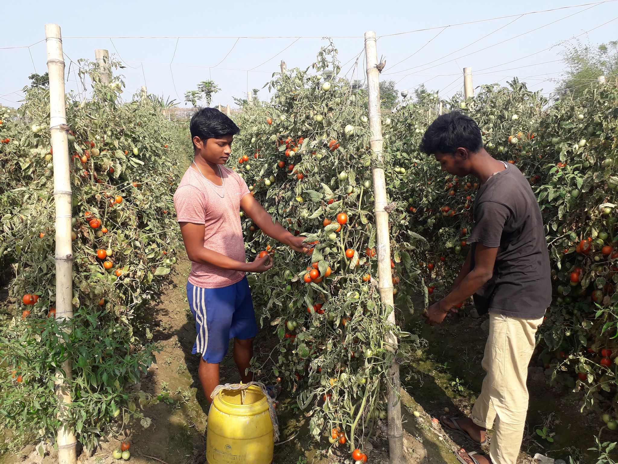 लकडाउनको चपेटामा परेका किसानलाई राहतको आशा