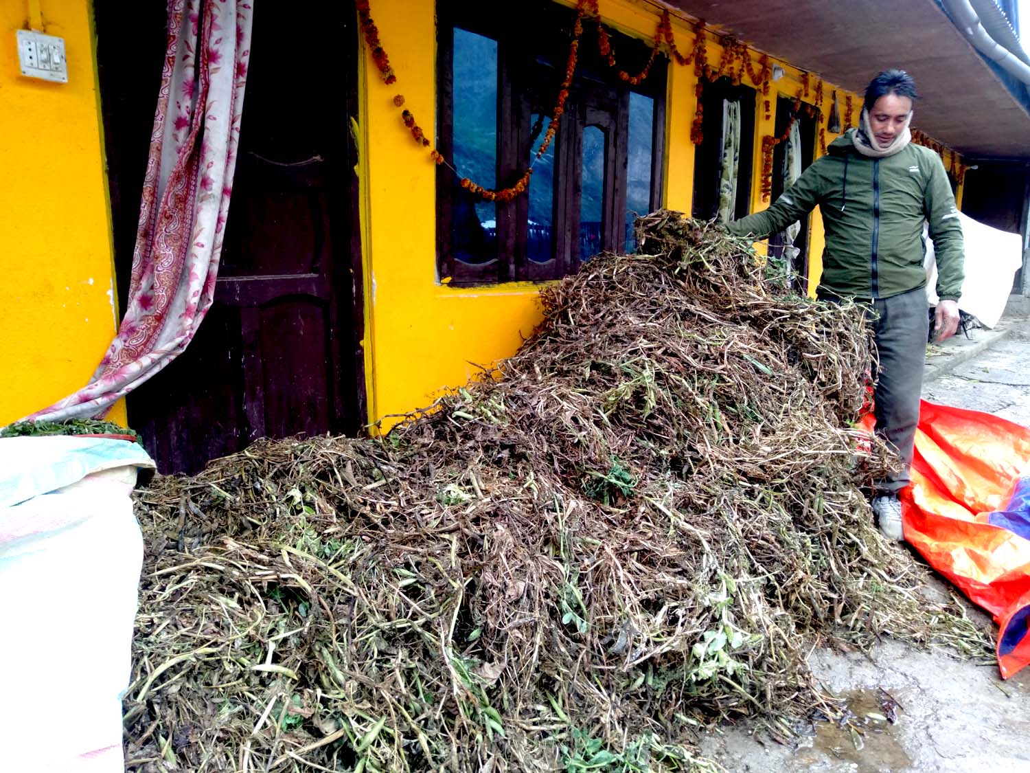 सिधुवाको तरकारी बिकेन, करोडौंको नोक्सानी