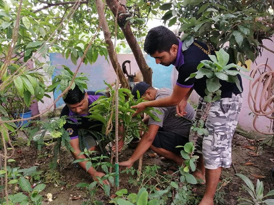 वातावरण दिवसमा वृक्षारोपण