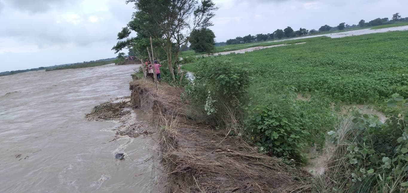 बक्राहा खोलाले बाँध कटान गरेपछि ४ घरपरिवार विस्थापित