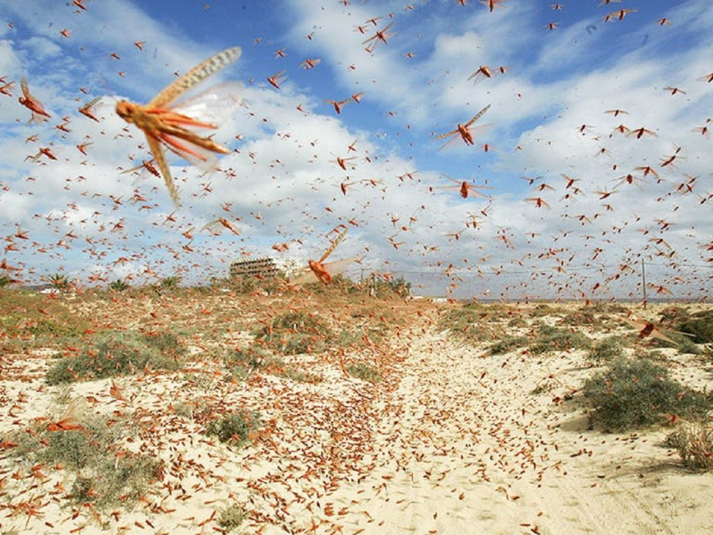 सलहको ठूलो फौज नेपाल प्रवेश गर्न सक्ने जोखिममा