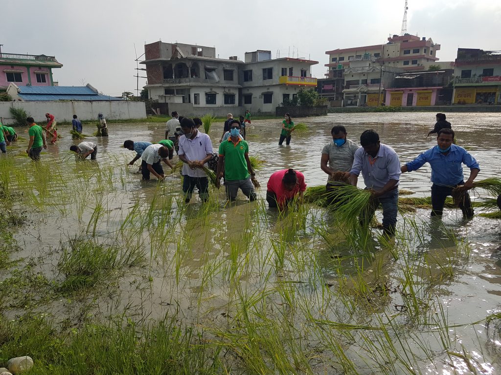 बाँझो जमिनमा खेती गर्ने अभियान