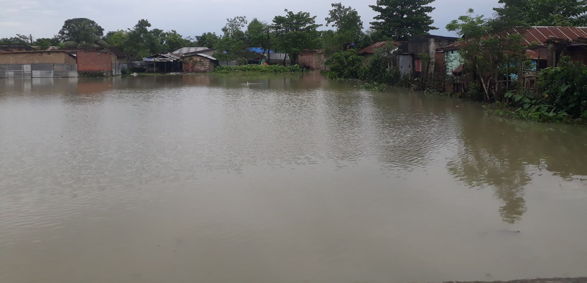 महानगरका २ वडाबाहेक अन्य वडाहरु बाढी तथा डुबानबाट प्रभावित हुने