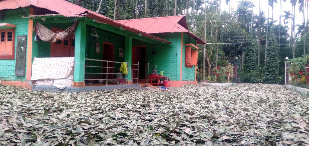 कोरोना कहरः बजार नपाएपछि बाख्रालाई तेजपत्ता