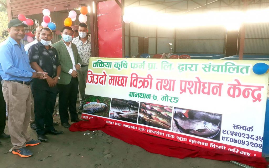 कृषकको उत्पादन सिधै उपभोक्ताको हातमा जानुपर्छः मन्त्री आङ्बो