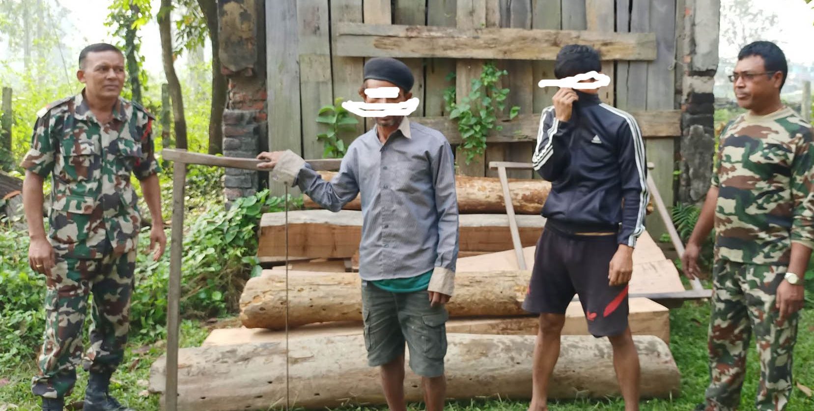 अवैध सालको काठसहित दुई जना पक्राउ