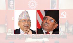 नेकपा कोशी प्रदेशको कार्यविभाजन टुङ्गो, जिल्ला र विभागहरूमा जिम्मेवारी बाँडफाँड