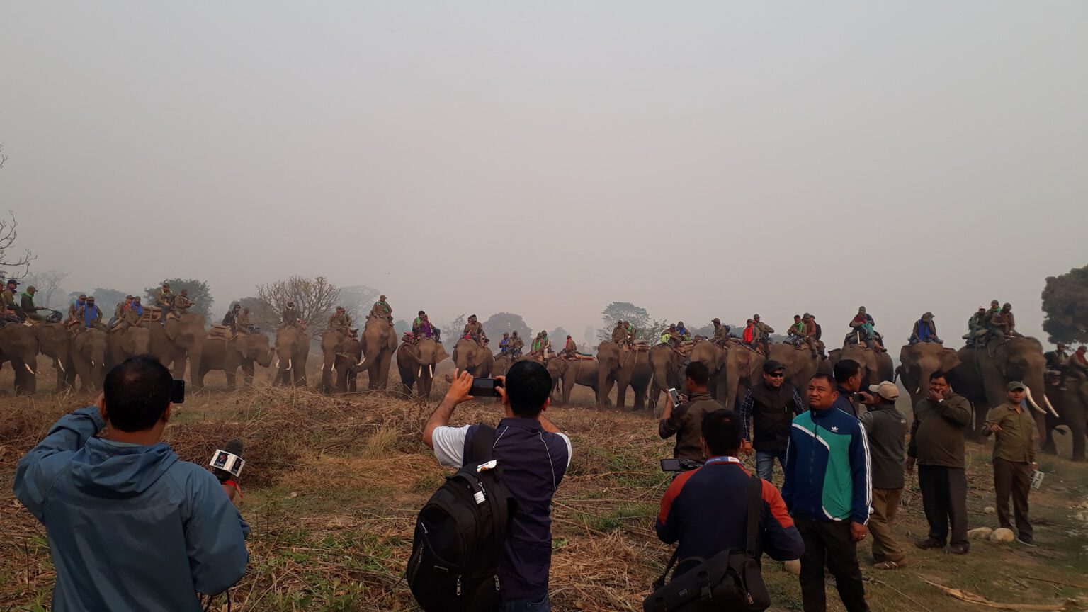 पर्सा राष्ट्रिय निकुञ्जबाट गैडा गणना सुरु