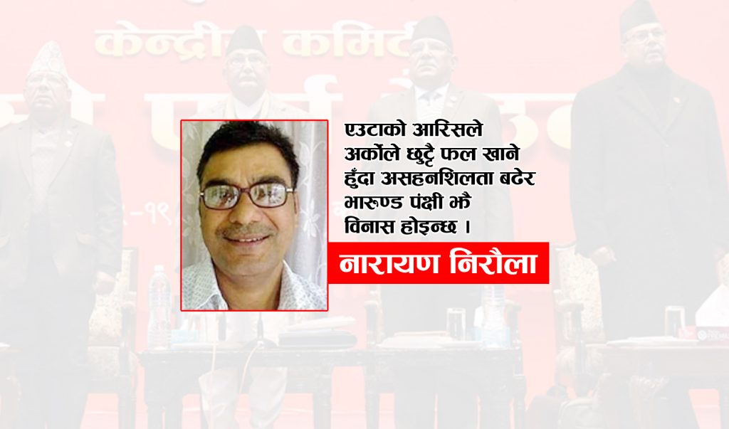 भारुण्ड झैं भो नेकपाको दशा