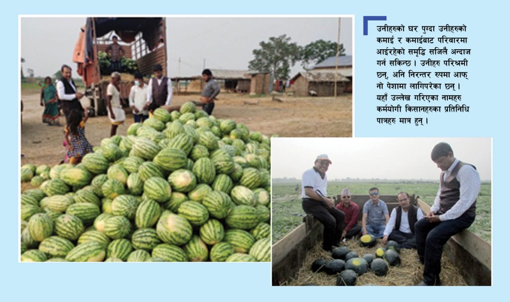 खोलाको बालुवामा पैसा फलाउनेहरु