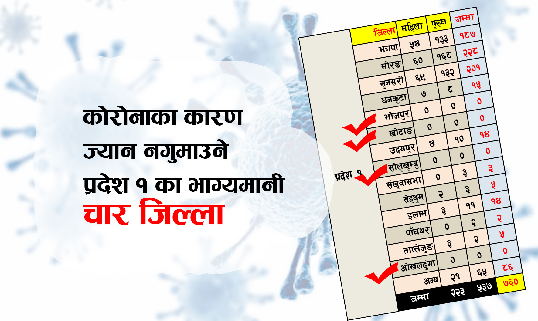 कोरोनाका कारण ज्यान नगुमाउने प्रदेश १ का भाग्यमानी ४ जिल्ला