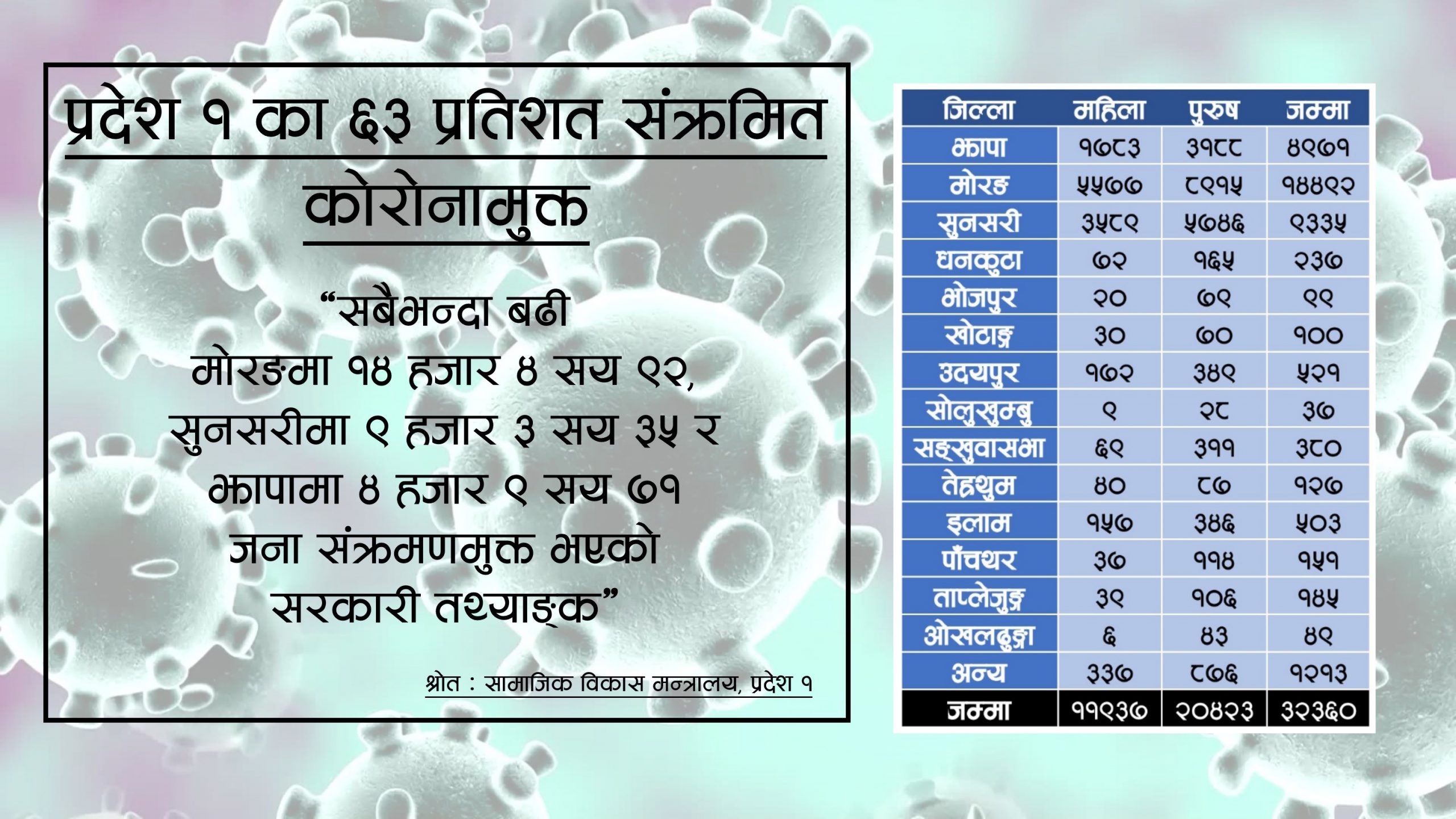 प्रदेश १ का ६३ प्रतिशत संक्रमितले जिते कोरोना