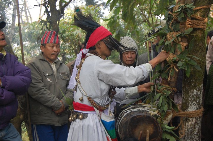 उभौली पर्व मनाइँदै