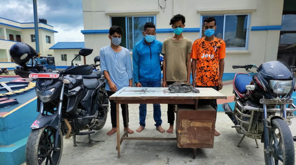 तस्करीको औषधीसहित एक भारतीय र कछुवासहित चार पक्राउ