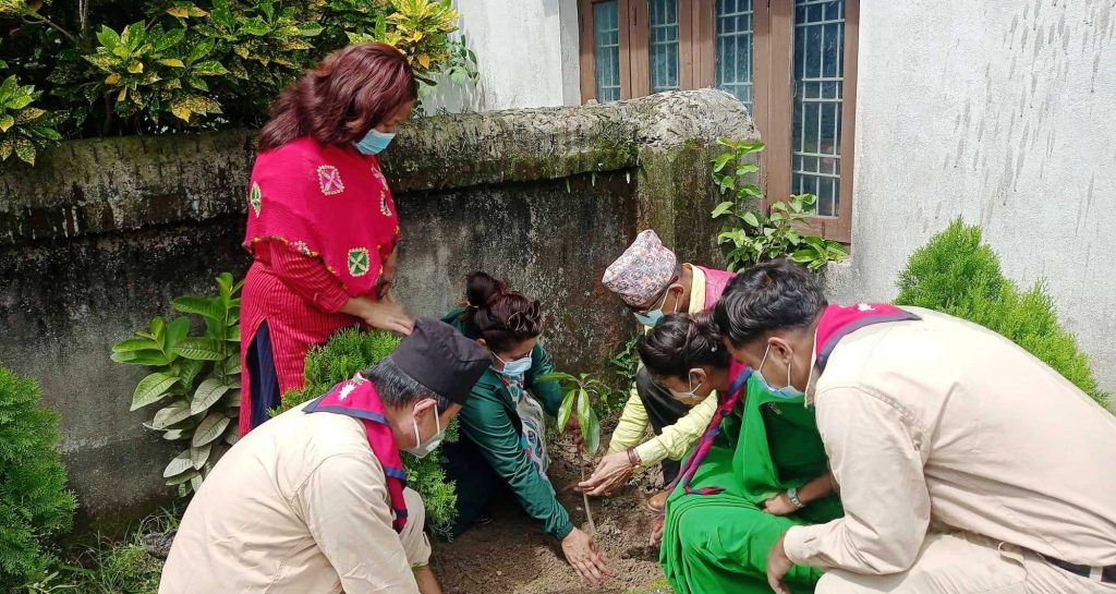 स्काउटको स्थापना दिवसमा बृक्षारोपण
