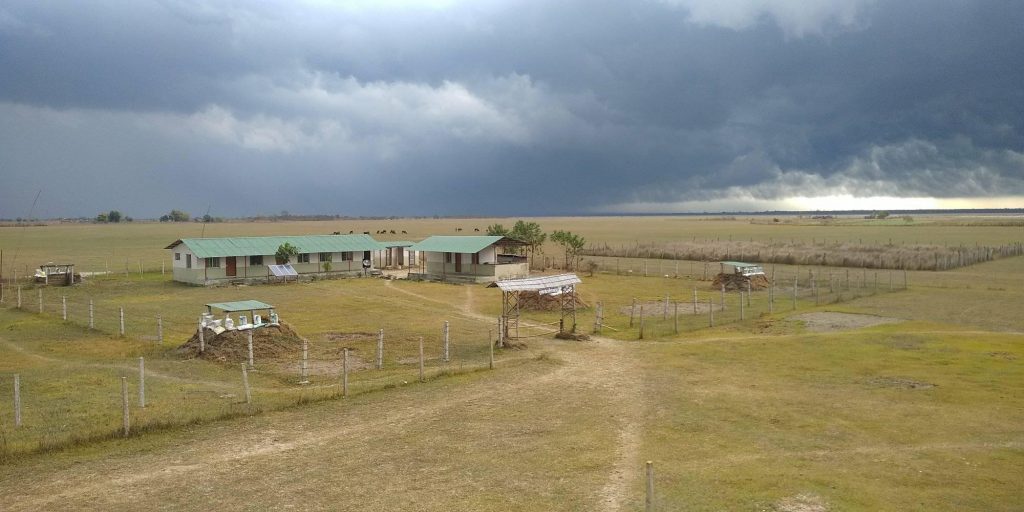 कोसी टप्पु लिजमा दिने सरकारको निर्णयले ८ सय परिवार सडकमा