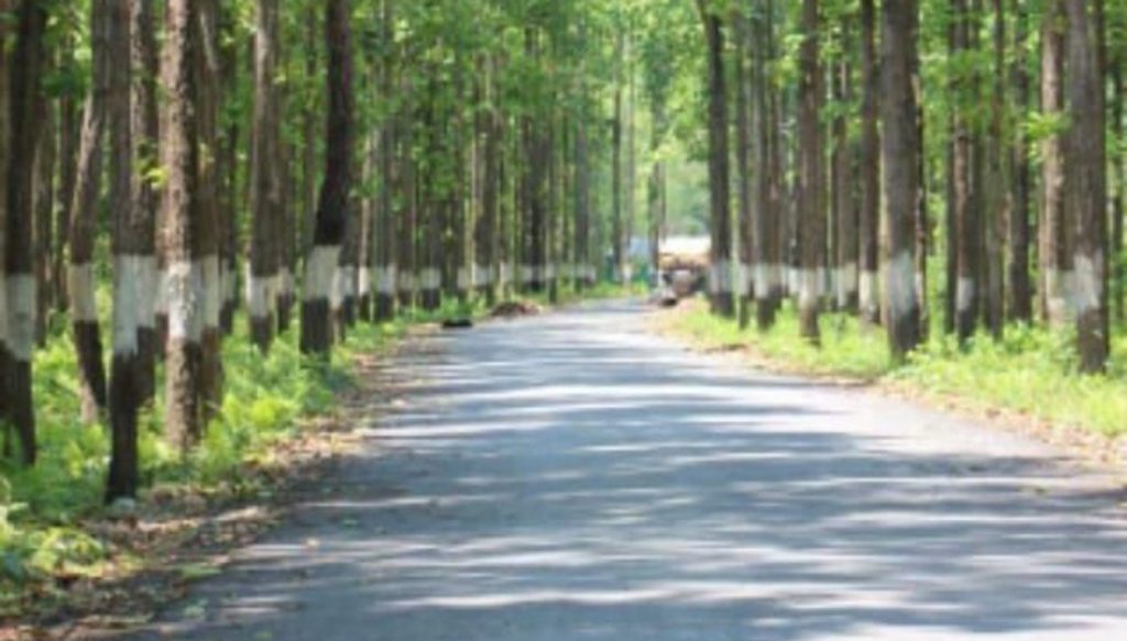 यौन काण्डपछि ‘सेल्फी रोड’ सुनसान