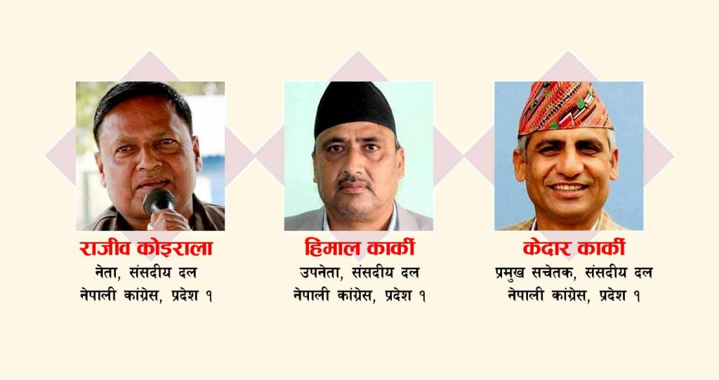 किन रोकियो प्रदेशसभाको बैठक ? प्रमुख सचेतक कार्कीले ‘बार्गेनिङ’ गरेको आरोप