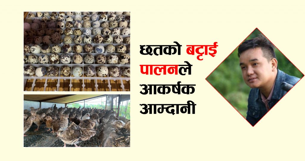छतको बट्टाईपालनले आकर्षक आम्दानी