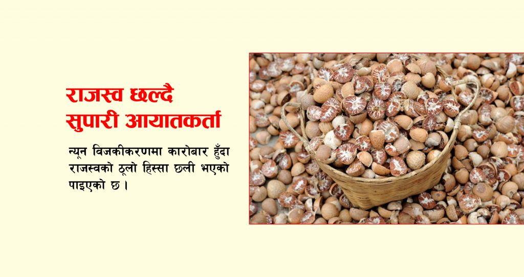 राजस्व छल्दै सुपारी आयातकर्ता