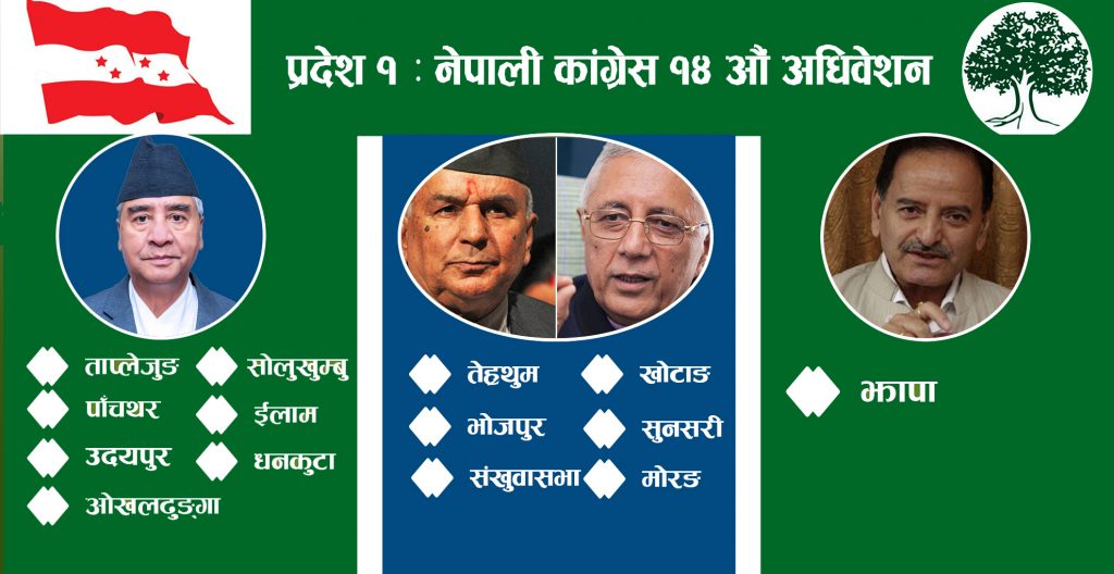 जिल्ला नेतृत्वमा संस्थापनले कोइराला पक्षलाई उछिन्यो