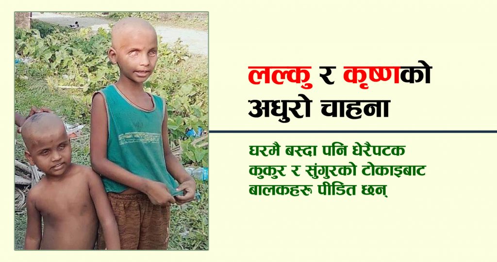 लल्कु र कृष्णको अधुरो चाहना