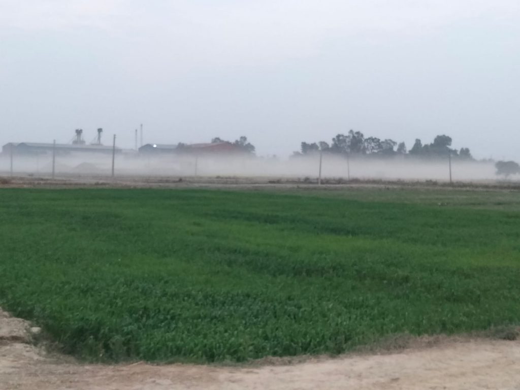 धूलोमय सडक (फोटो)