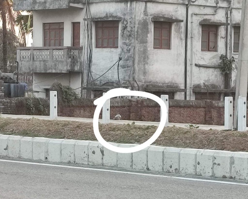 उद्योग अगाडि भेटिएको ‘बम’ सेनाद्वारा निष्क्रिय