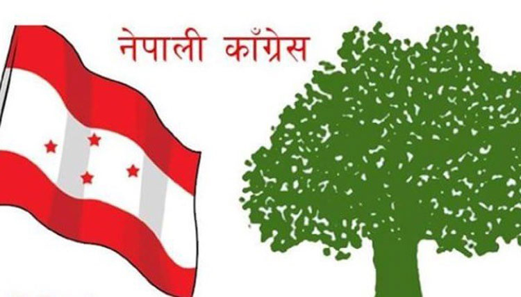 केन्द्रको गठबन्धन भन्दा बाहिर गएर काम नगर्न कांग्रेस चितवनको निर्देशन