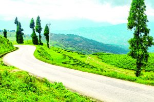 आज वर्षाको सम्भावना छैन : विभाग