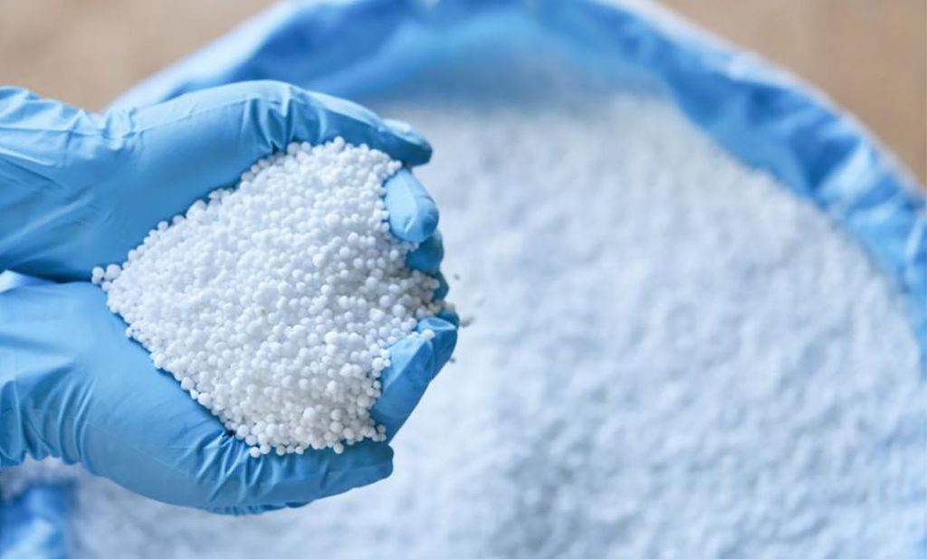 धान रोप्ने बेलामै मल अभाव चुलियो