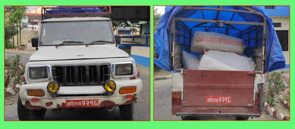 पिकअप भेनमा भेटियो तस्करीको गाँजा