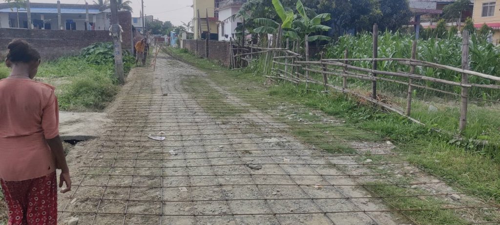 विराटनगरमा बेथितिको नमुनाः झारसमेत नउखेली सडक ढलानको तयारी