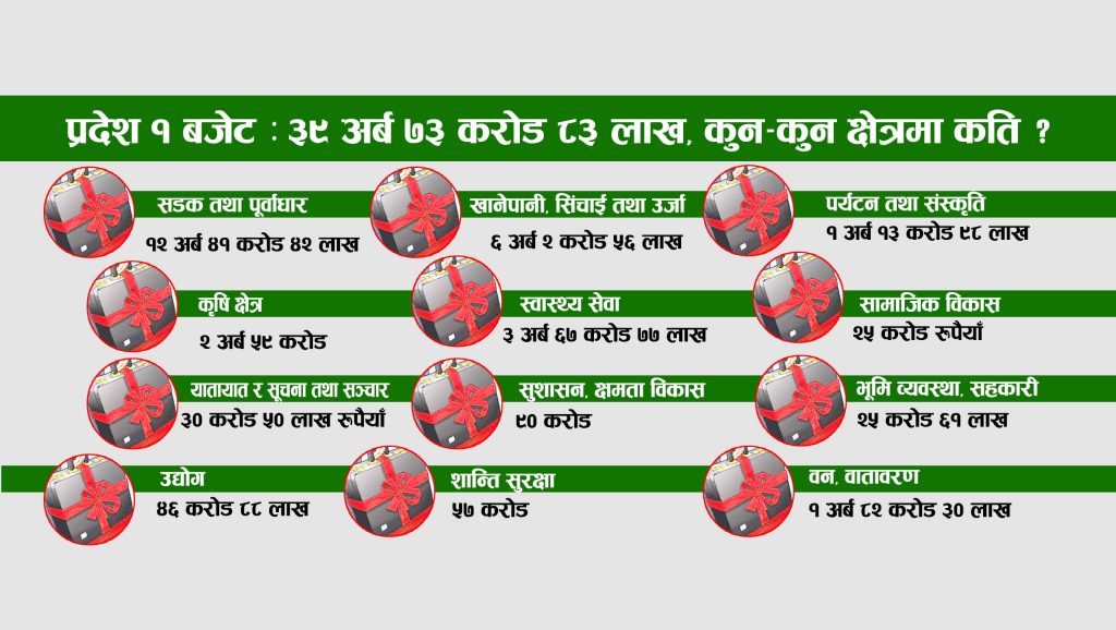 प्रदेश १ को बजेटका यस्ता छन् विषेशता