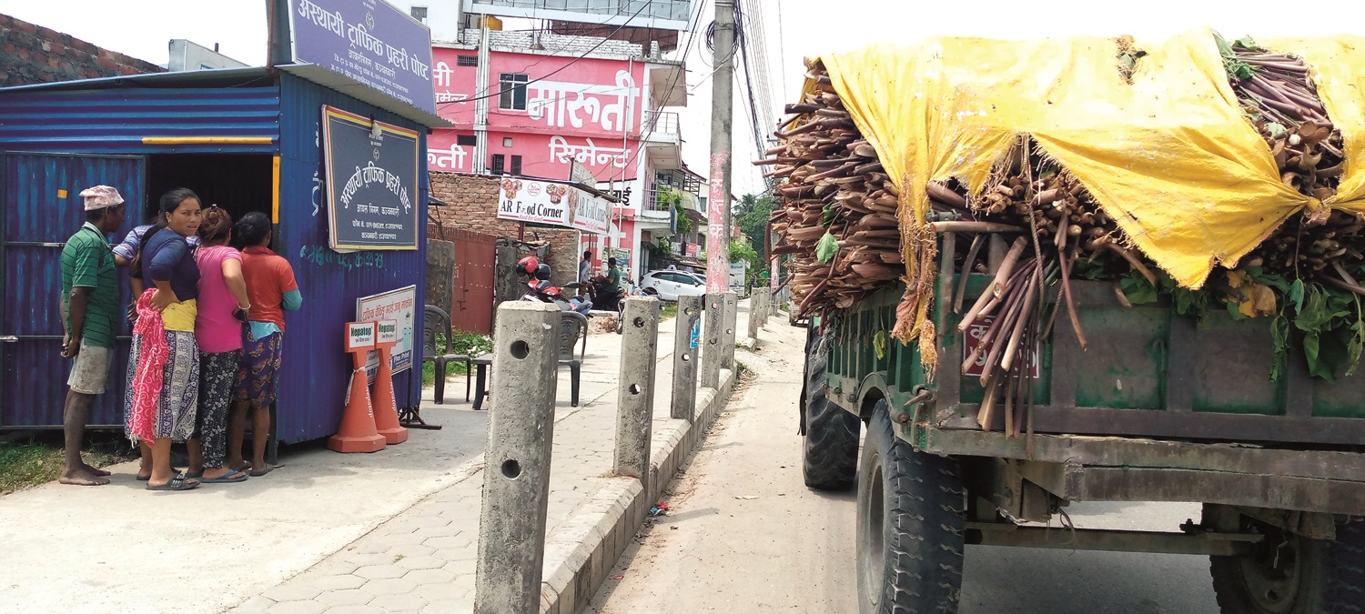 बंगुरको चारो खोज्न ३० किलोमिटरको यात्रा, त्यसमाथि प्रहरीको तगारो