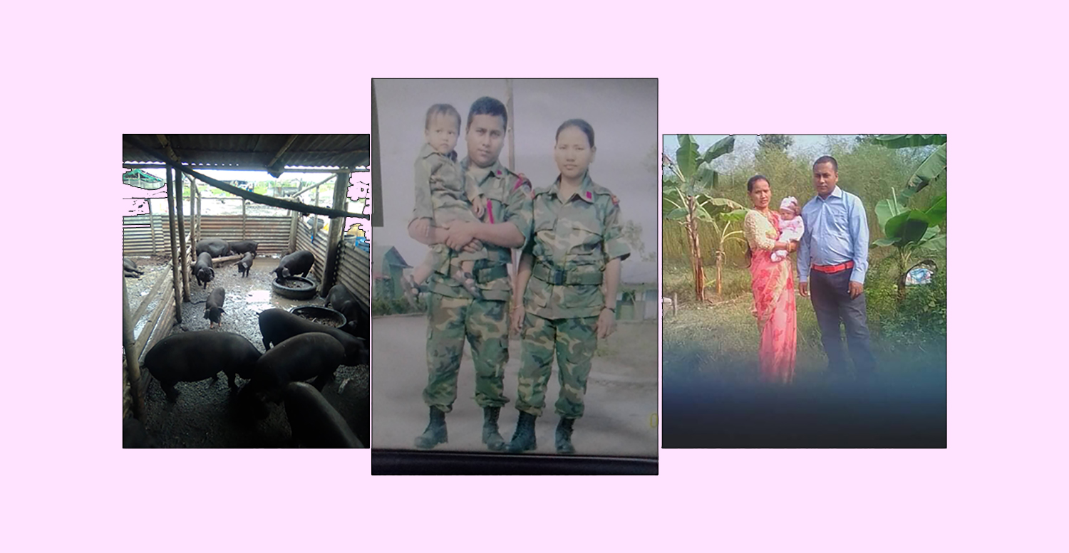 बन्दुक छाडेका दम्पती कृषि क्रान्तिमा 