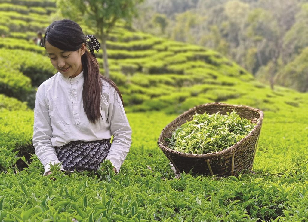 चिया परीक्षणको झमेला कायमै