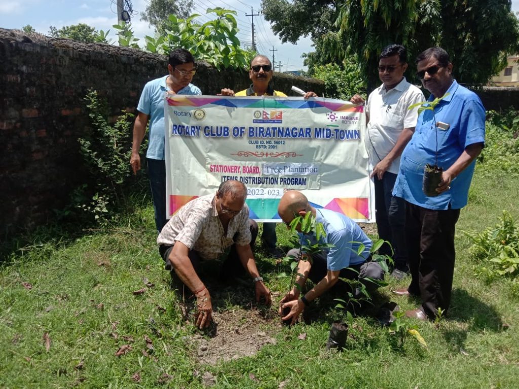 रोटरी क्लद्धारा विद्यालयमा वृक्षारोपण