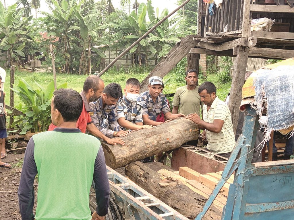 कानेपोखरी जंगलमा तस्करको रजाइँ