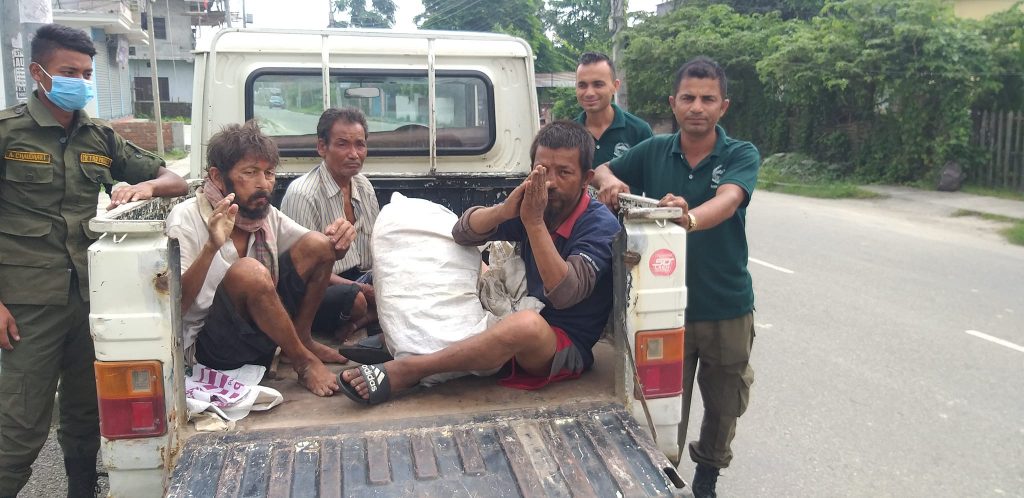 महानगरद्वारा सडक मानवमुक्त अभियान सञ्चालन