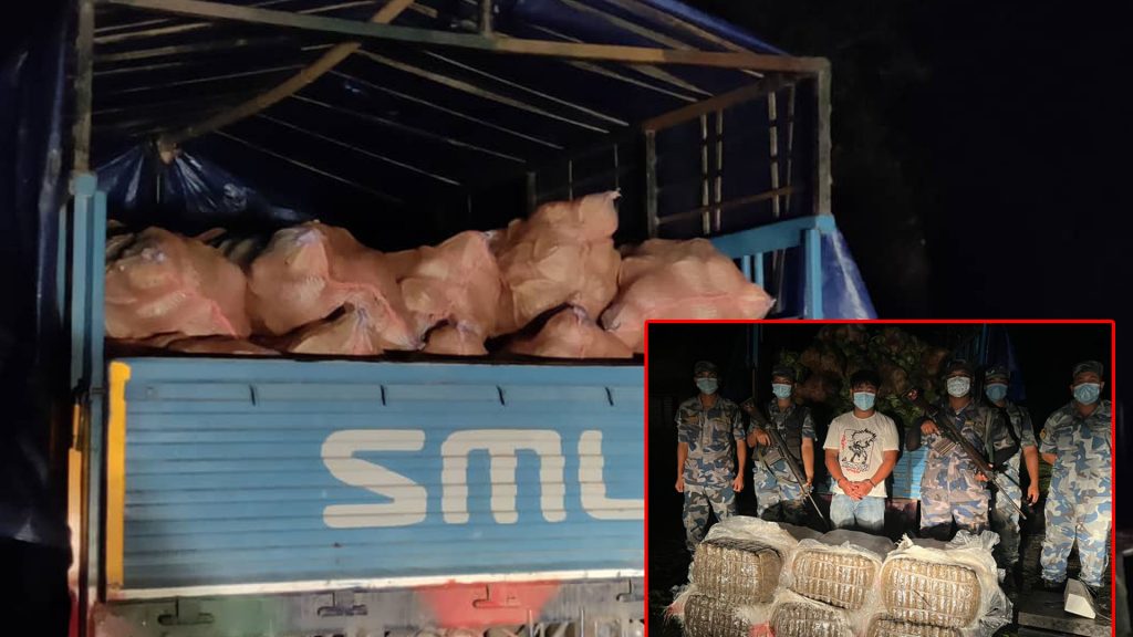 कोपी बोकेको ट्रकमा ६ बोरा गाँजा भेटियो, विराटनगरबाट यसरी भयो बरामद