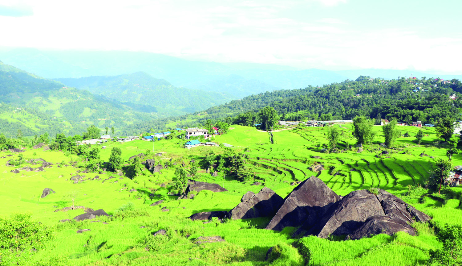 धान खेत र काभ्रे गाउँ