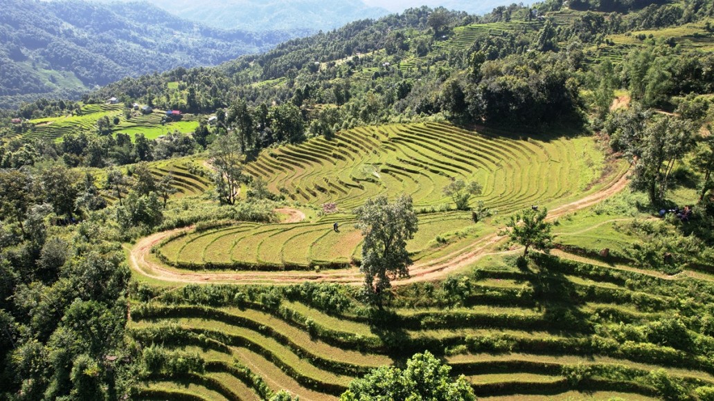 जग्गाको कित्ताकाट फुकुवा