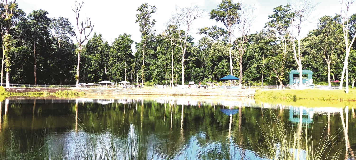 ऐतिहासिक कानेपोखरीको सरसफाई