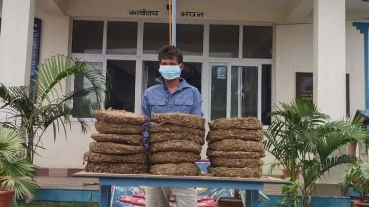 रोकिएन गाँजाको तस्करी, ३६ केजी गाँजासहित भरिया पक्राउ